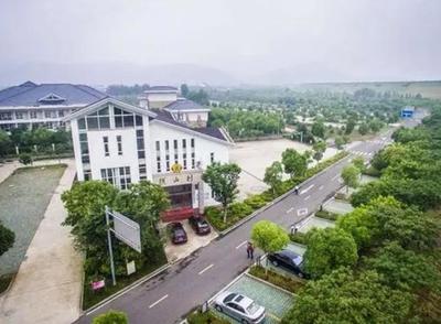 宜興西渚鎮網站建設揭秘與高塍鎮官網展望（2025年01月焦點）