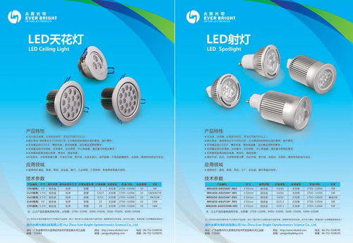 惠州永暉光電節(jié)能燈 產(chǎn)品畫冊 攝影設(shè)計 東莞比高品牌設(shè)計創(chuàng)意公司 代表作品 東莞標(biāo)志設(shè)計 東莞畫冊設(shè)計目錄 東莞品牌形象 東莞攝影公司 東莞vi設(shè)計 東莞logo設(shè)計